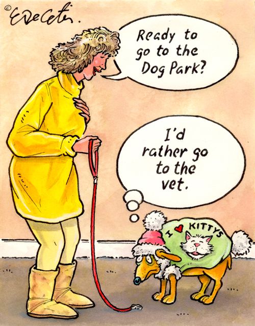 "I'd rather go to the vet."