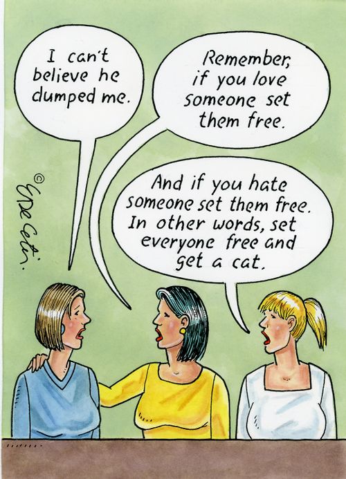 I can't believe he dumped me.  Remember, if you love someone set them free.  And if you hate someone set them free. In other words, set everyone free and get a cat.