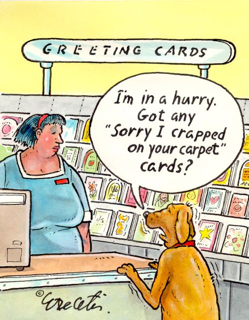 I'm in a hurry. Got any "Sorry I crapped on your carpet" cards?