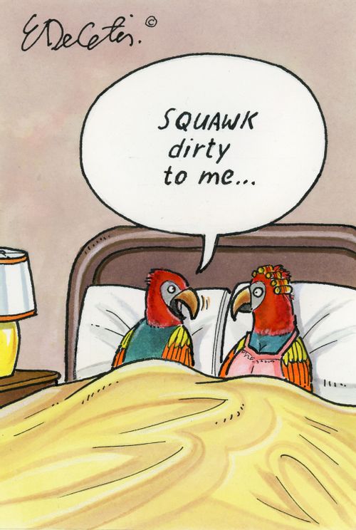 Squawk dirty to me...