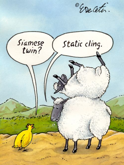 "Static cling."