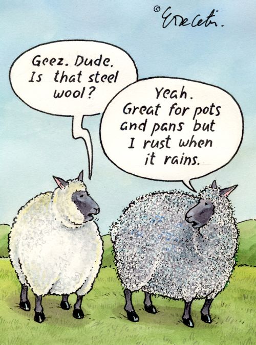 "Geez. Dude, is that steel wool?" 