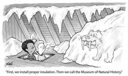 "First, we install proper insulation. Then we call the Museum of Natural History."