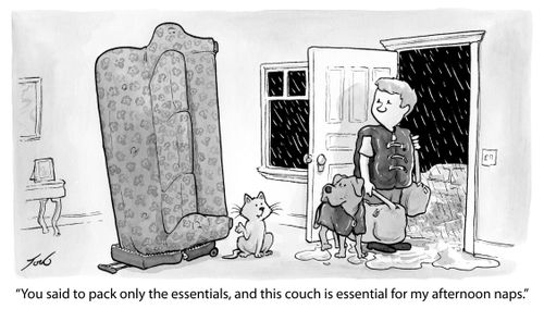 "You said to pack only the essentials, and this couch is essential for my afternoon naps."