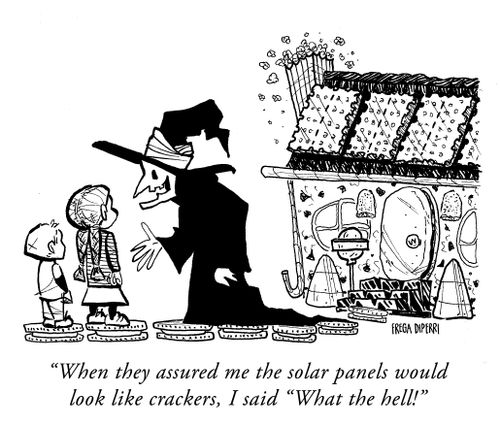 "When they assured me the solar panels would look like crackers, I said "What the hell!"'