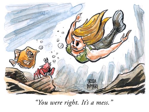 "You were right. It's a mess."