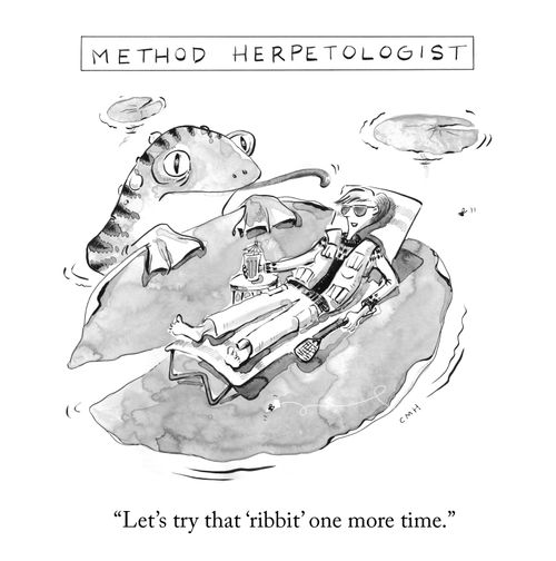 "Let's try that 'ribbit' one more time."