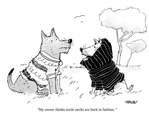 "My owner thinks turtle necks are back in fashion."