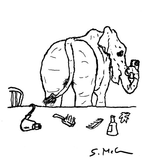 Elephant ass selfie. 