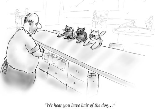 "We hear you have hair of the dog..."