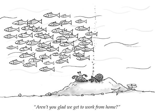 "Aren't you glad we get to work from home?"
