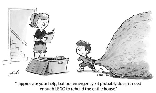 "I appreciate your help, but our emergency kit probably doesn't need enough LEGO to rebuild the entire house."