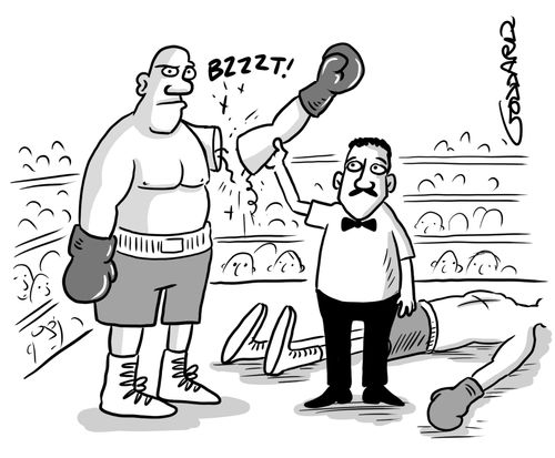 Robot Boxer