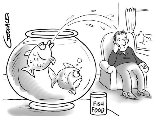 Fish Food