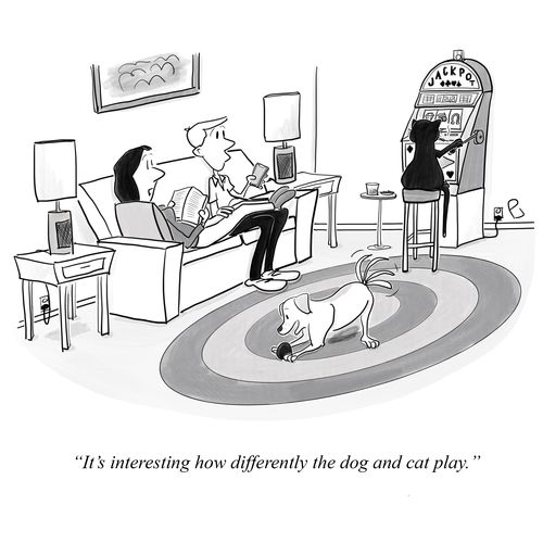 "It's interesting how differently the dog and cat play."