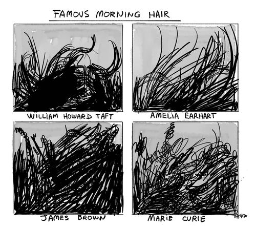 Famous Morning Hair: William Howard Taft, Amelia Earhart, James Brown and Marie Curie