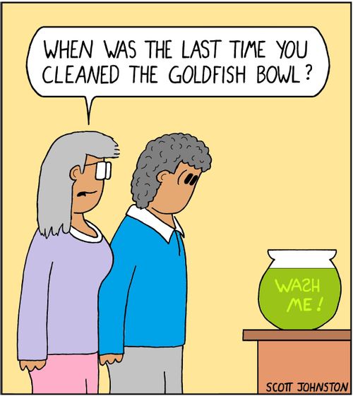 "When was the last time you cleaned the goldfish bowl?"