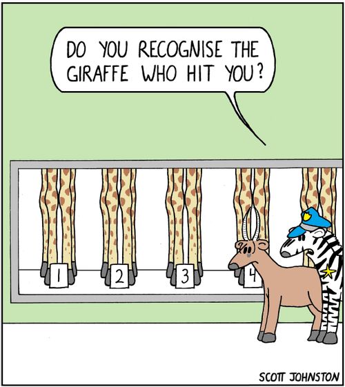 "Do you recognise the giraffe who hit you?"