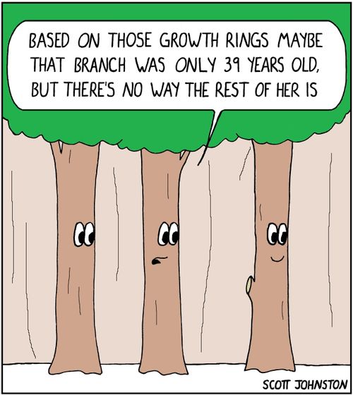 "Based on those growth rings maybe that branch was only 39 years old, but there's no way the rest of her is."