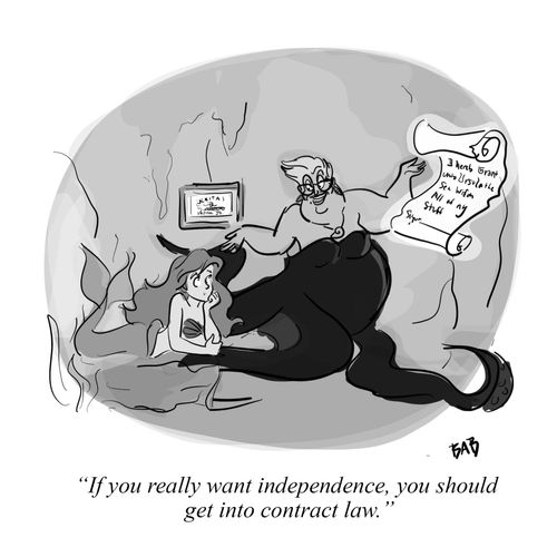 "If you really want independence, you should get into contract law."