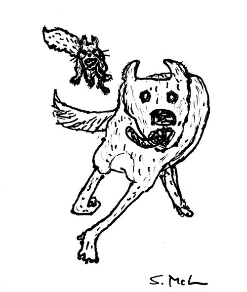 Squirrel Chasing a Dog