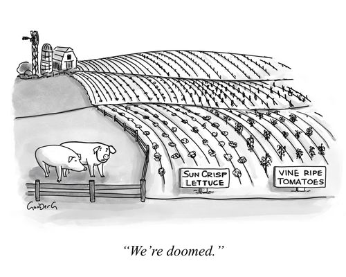 "We're doomed."