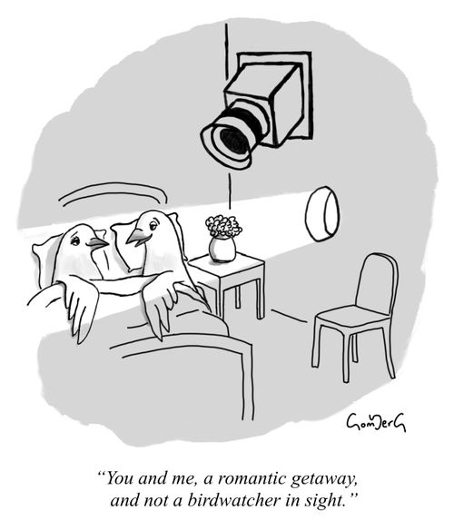 "You and me, a romantic getaway, and not a birdwatcher in sight."