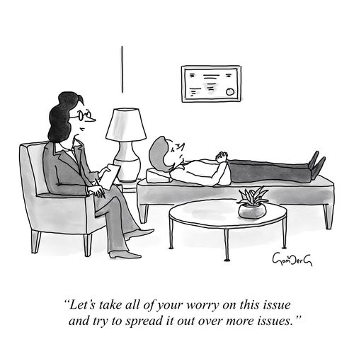 "Let's take all of your worry on this issue and try to spread it out over more issues."