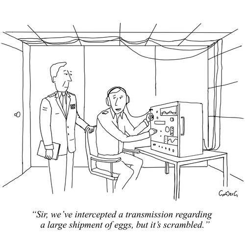 "Sir, we've intercepted a transmission regarding a large shipment of eggs, but it's scrambled."