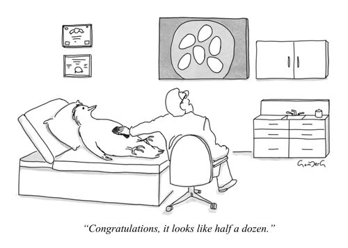 "Congratulations, it looks like half a dozen."
