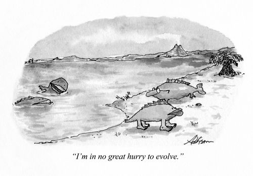 "I'm in no great hurry to evolve."