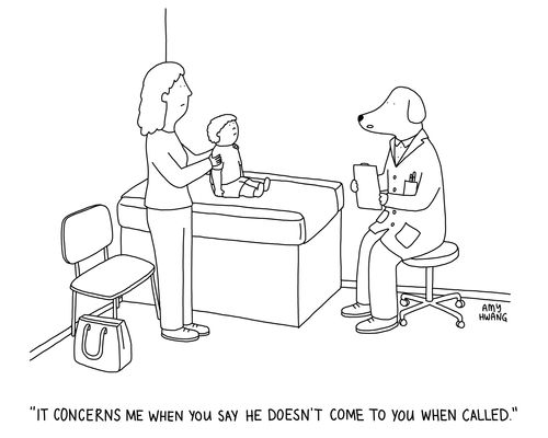 "It concerns me when you say he doesn't come to you when called."