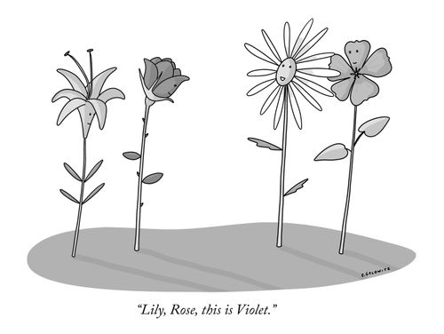 "Lily, Rose, this is Violet."