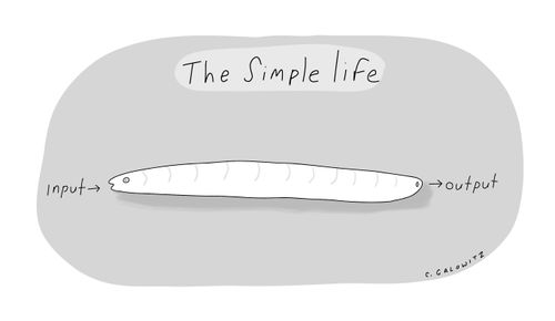 The Simple Life:  Input - Output