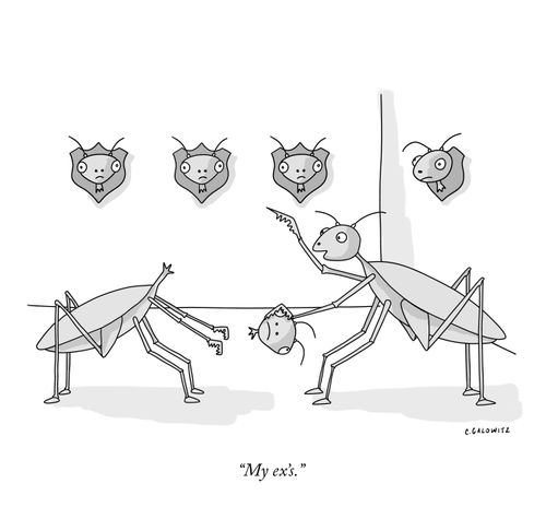 "My ex's."