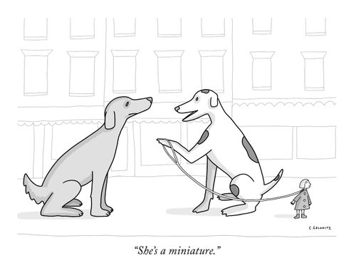 "She's a miniature."