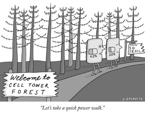 "Let's take a quick power walk."