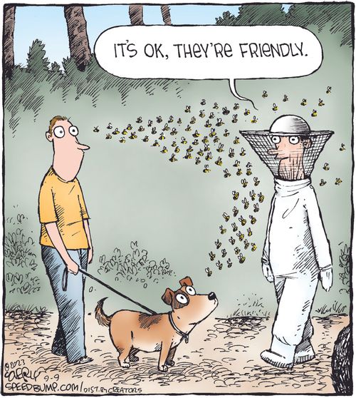 "It's ok, they're friendly."