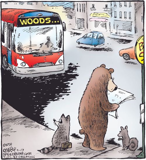 Bus to the Woods
