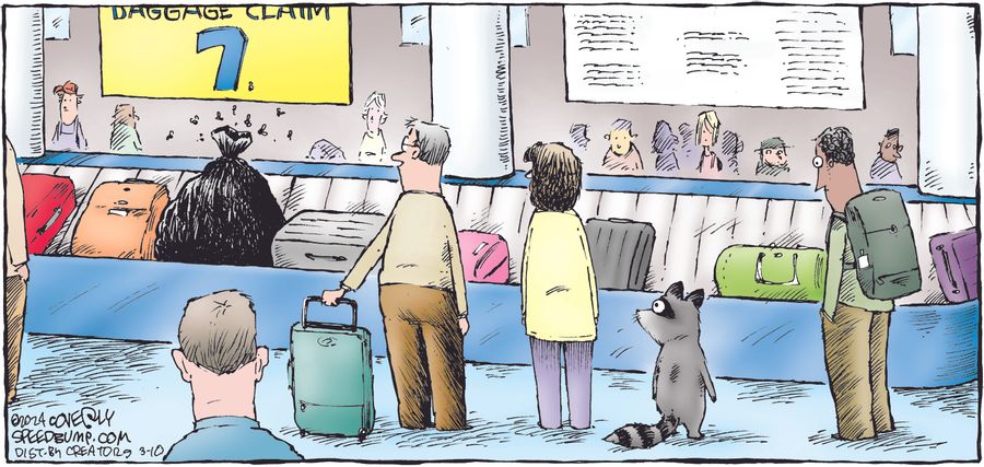 Rubbish Carousel