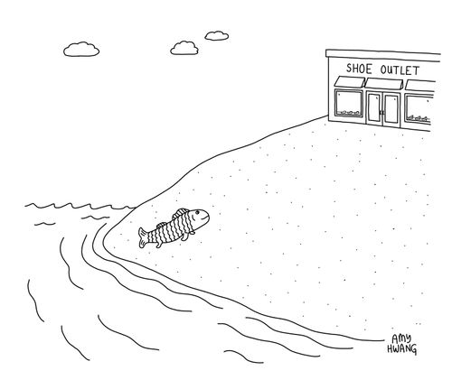 Shoe Outlet