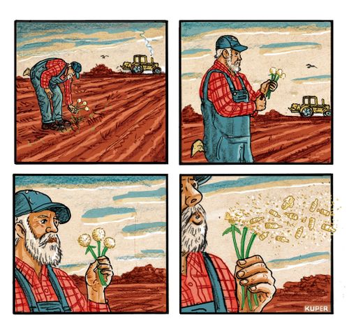 Micro Plastics in Soil