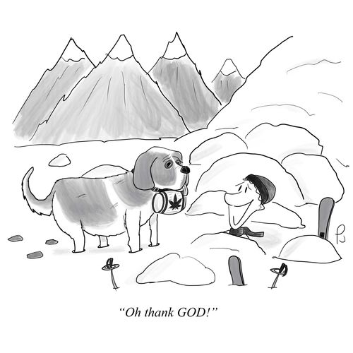 "Oh thank God!"