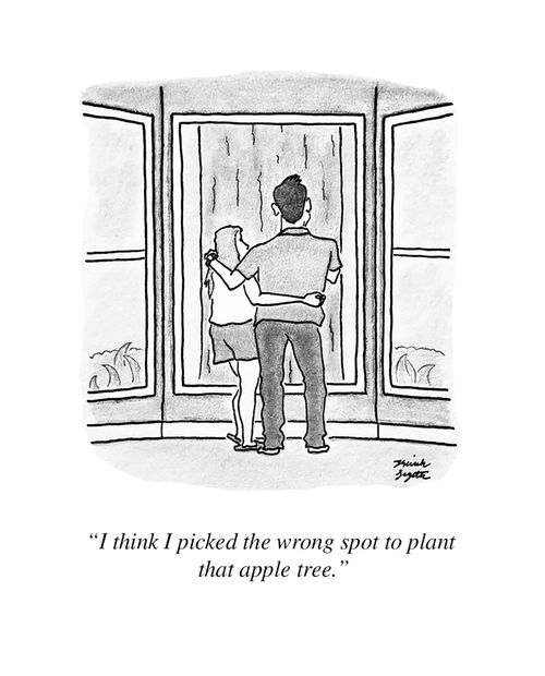 "I think I picked the wrong spot to plant that apple tree."