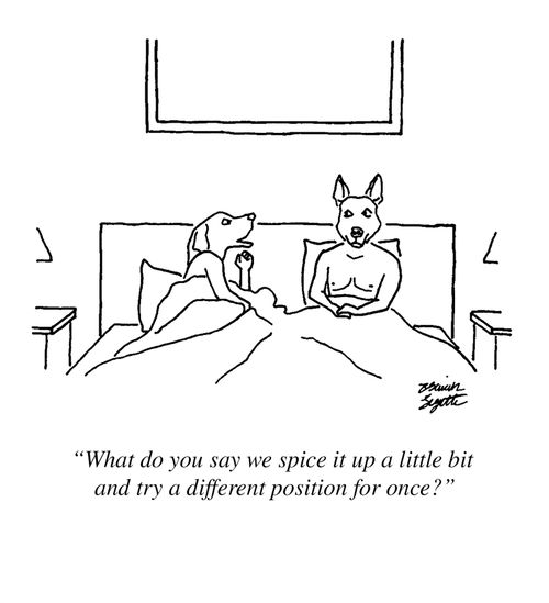"What do you say we spice i up a little bit and try a different position for once?"