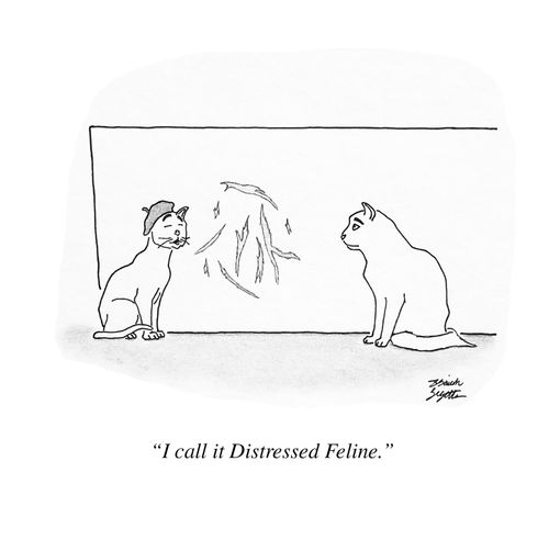 "I call it Distressed Feline."