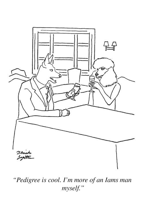"Pedigree is cool. I'm more of an Iams man myself."
