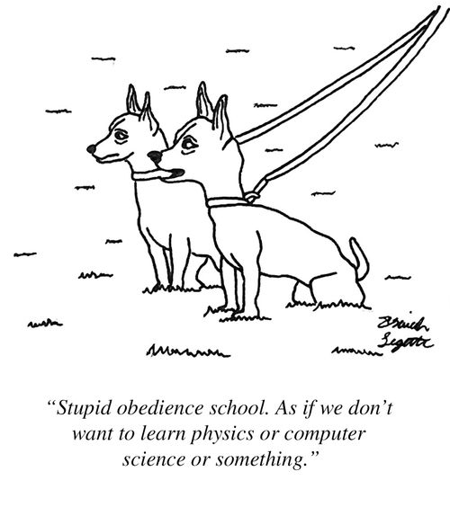 "Stupid obedience school. As if we don't want to learn physics or computer science or something."