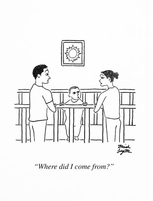 "Where did I come from?"