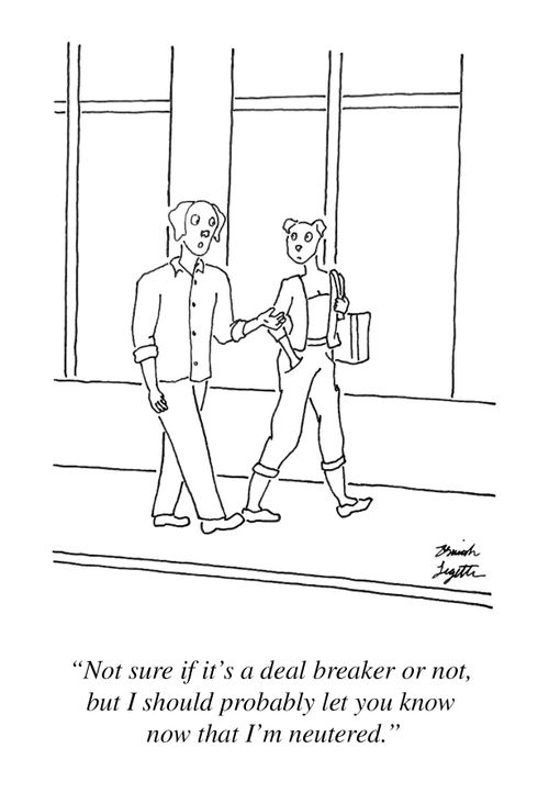 "Not sure if it's a deal breaker or not, but I probably should let you know that I'm neutered."